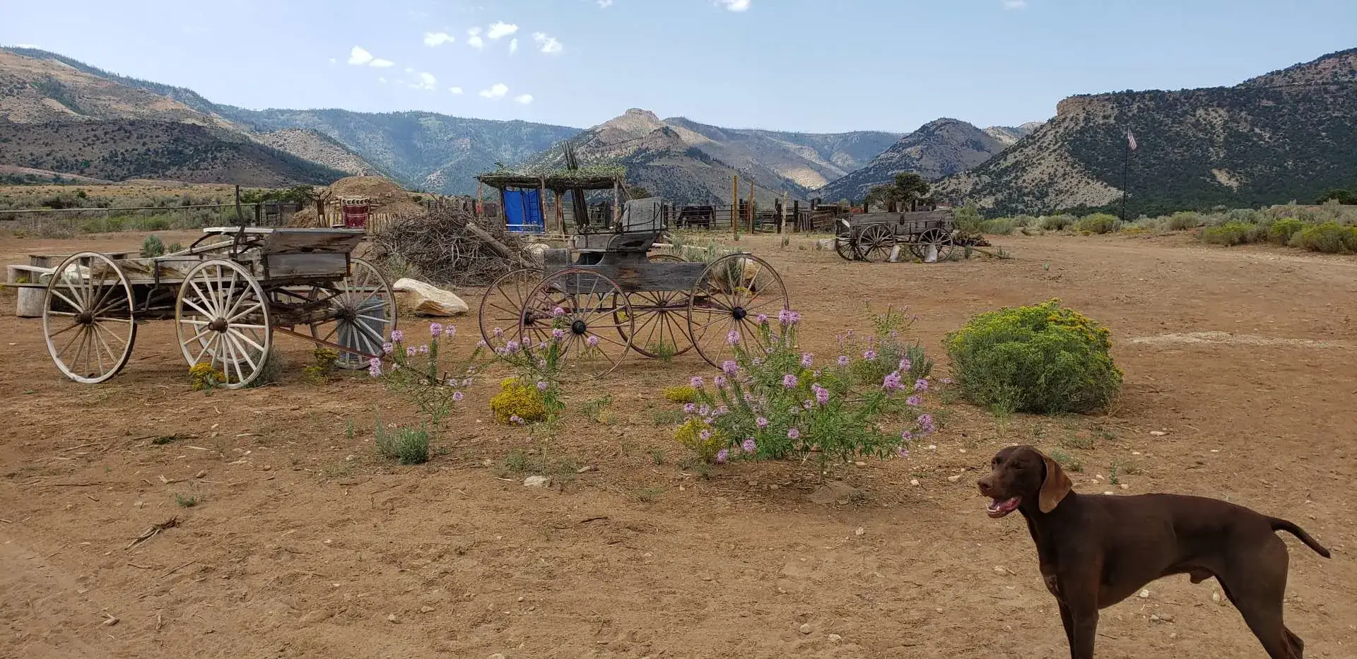 Camper-submitted photo at LZJ Ranch's Hiawatha Hideout! near Huntington, UT