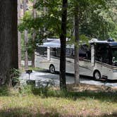 Review photo of Armadillo Circle — Beavers Bend State Park by Aaron S., July 25, 2022