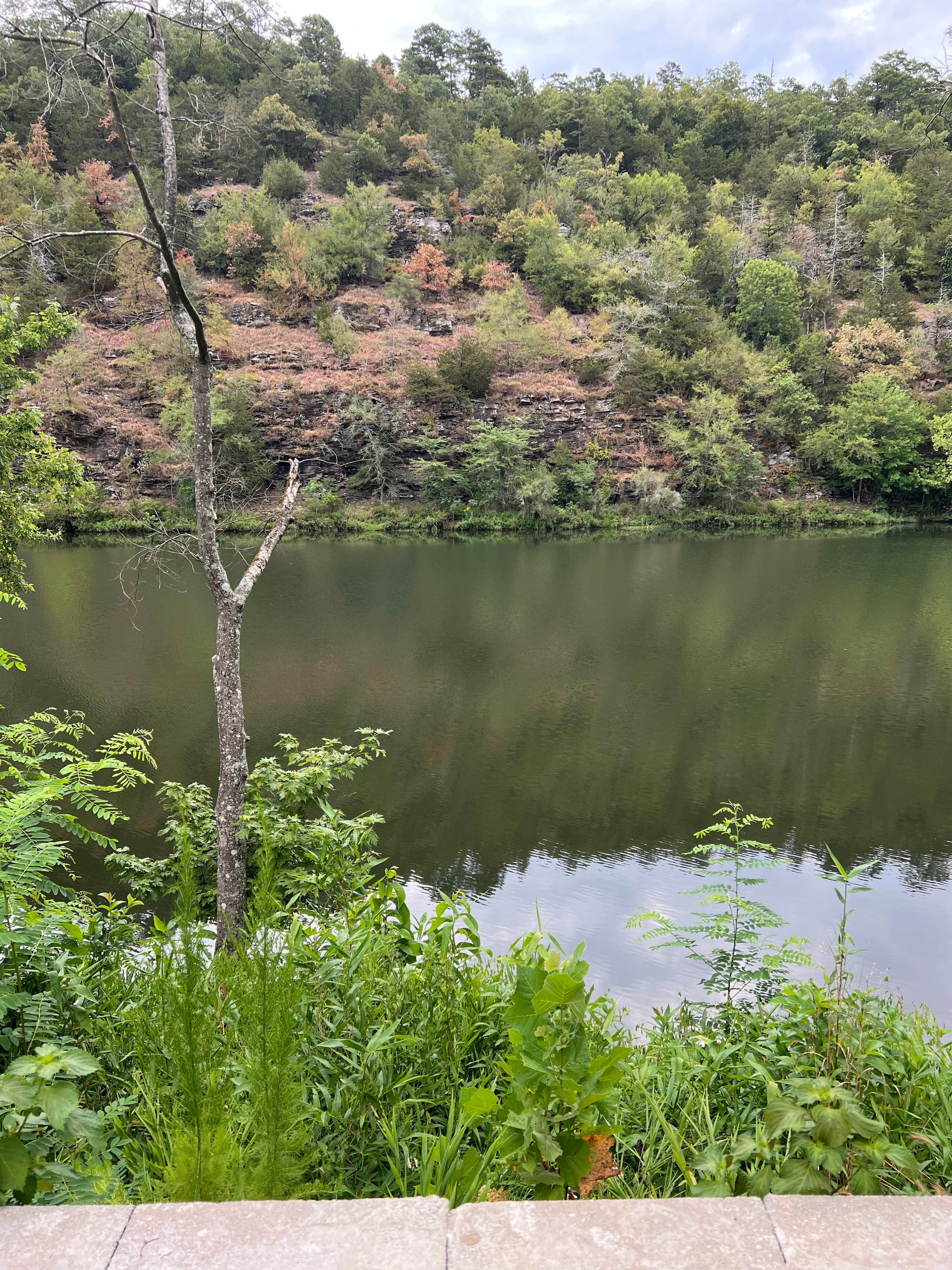 Camper-submitted photo at Armadillo Circle — Beavers Bend State Park near Broken Bow, OK