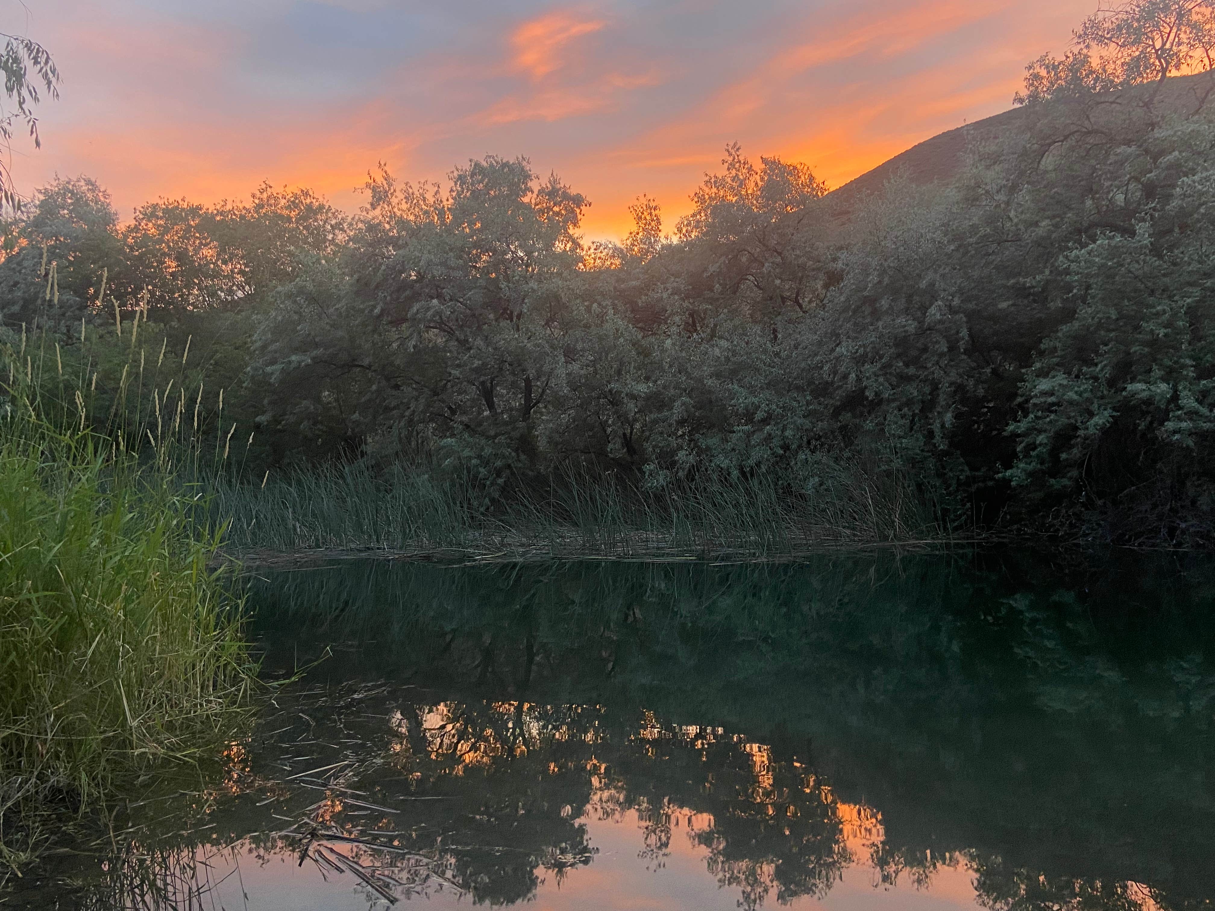 Camper-submitted photo at Ankeny #1 near Hartline, WA