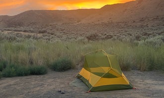 Camping near Coulee City Community Park: Ankeny #1, Coulee City, Washington