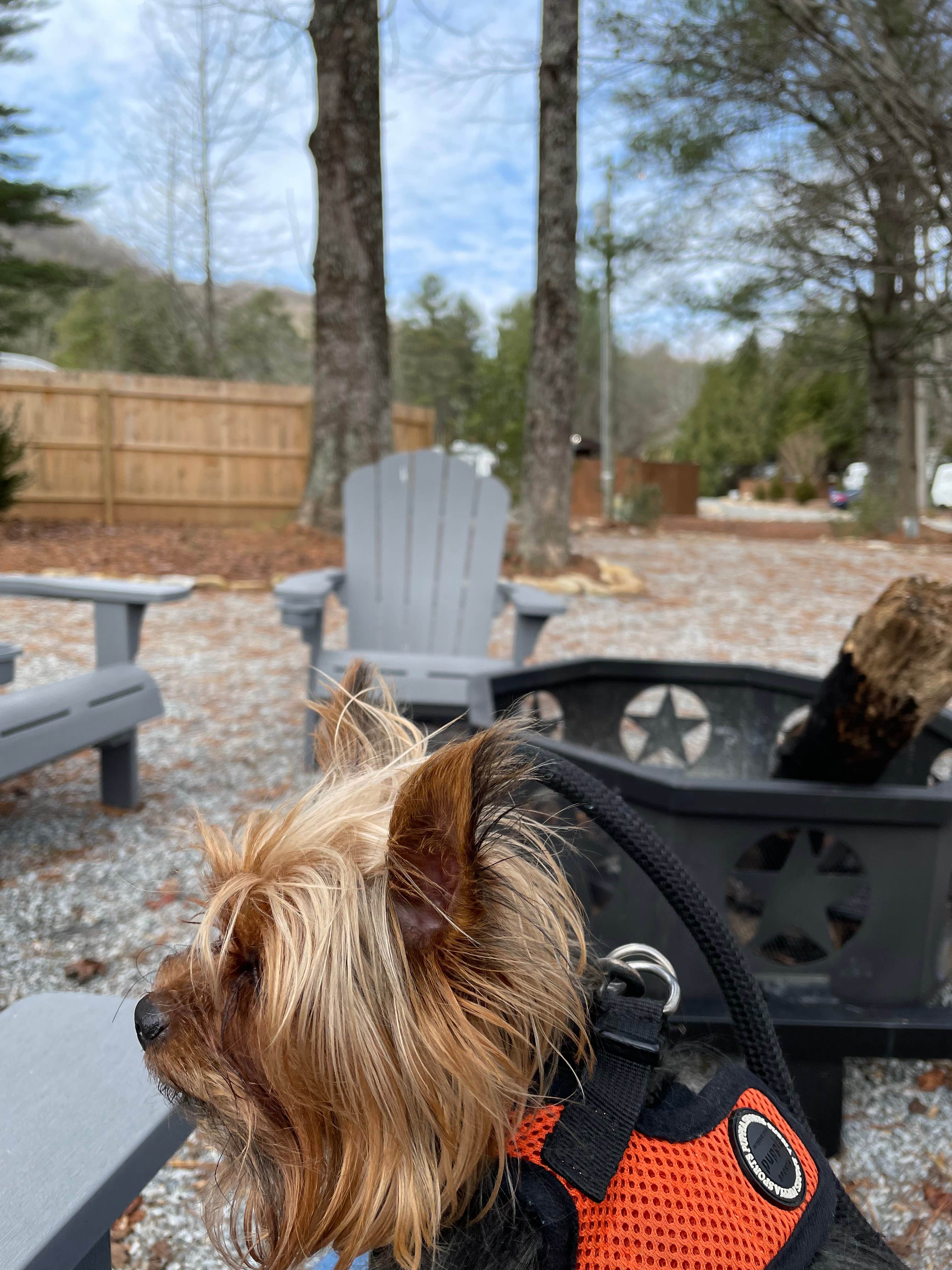 Camper-submitted photo at Land of Waterfalls RV Park near Balsam Grove, NC