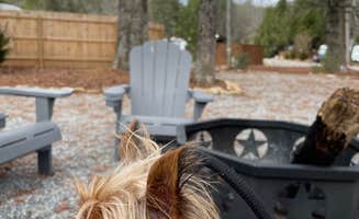 Name's photo of camping with pets at Land of Waterfalls RV Park near Flat Rock, NC