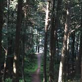 Review photo of Musky Lake Campground — Northern Highland State Forest by Jay W., July 20, 2018