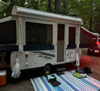 Camper-submitted photo from Tree Farm Campground