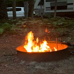 Tree Farm Campground