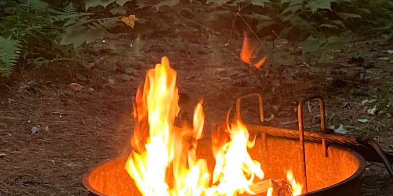 Camper submitted image from Tree Farm Campground