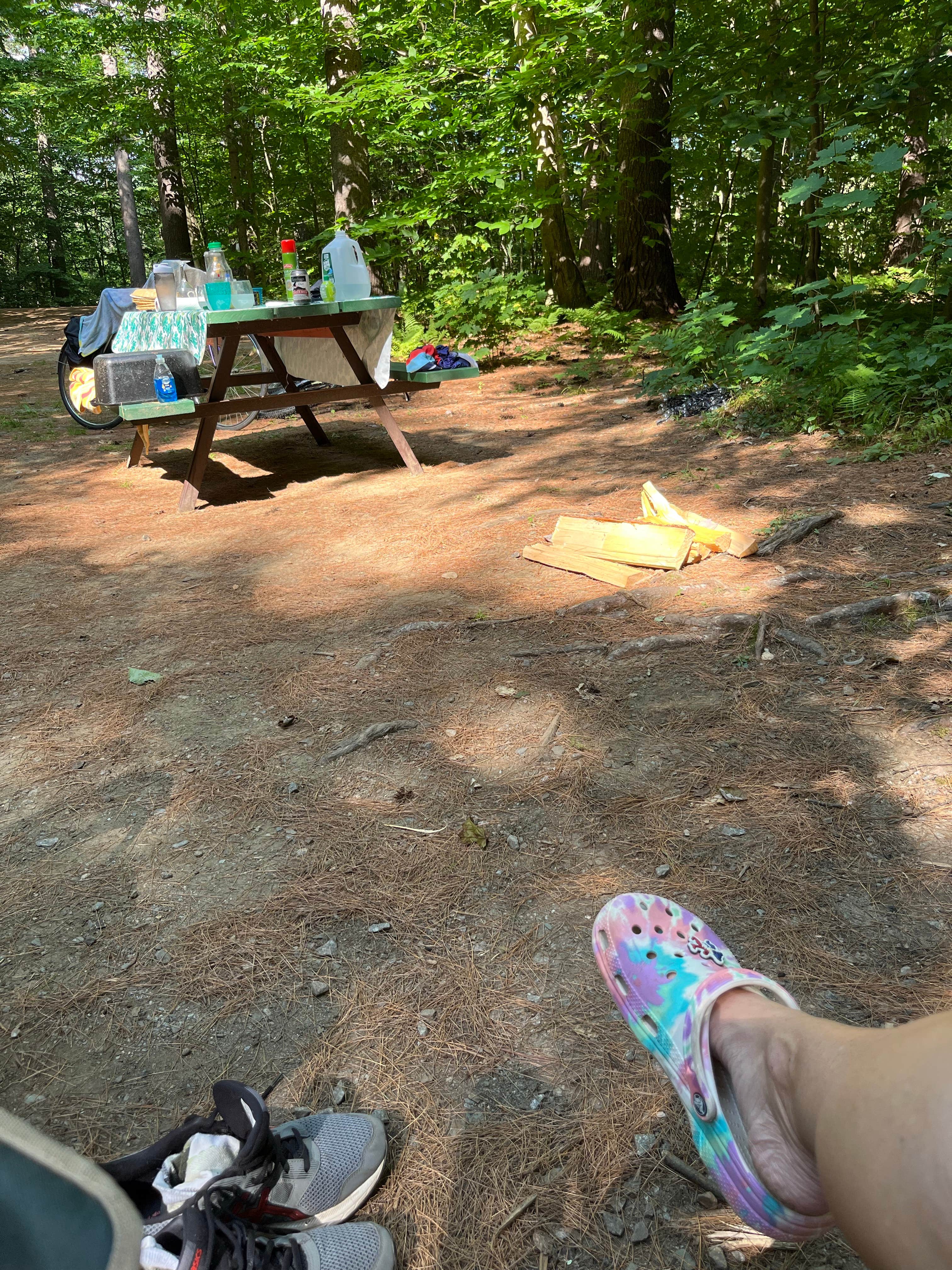 Camper-submitted photo at Tree Farm Campground near Lebanon, NH