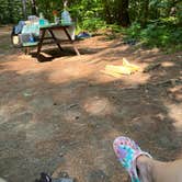 Review photo of Tree Farm Campground by emily H., July 25, 2022