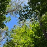 Review photo of Tree Farm Campground by emily H., July 25, 2022