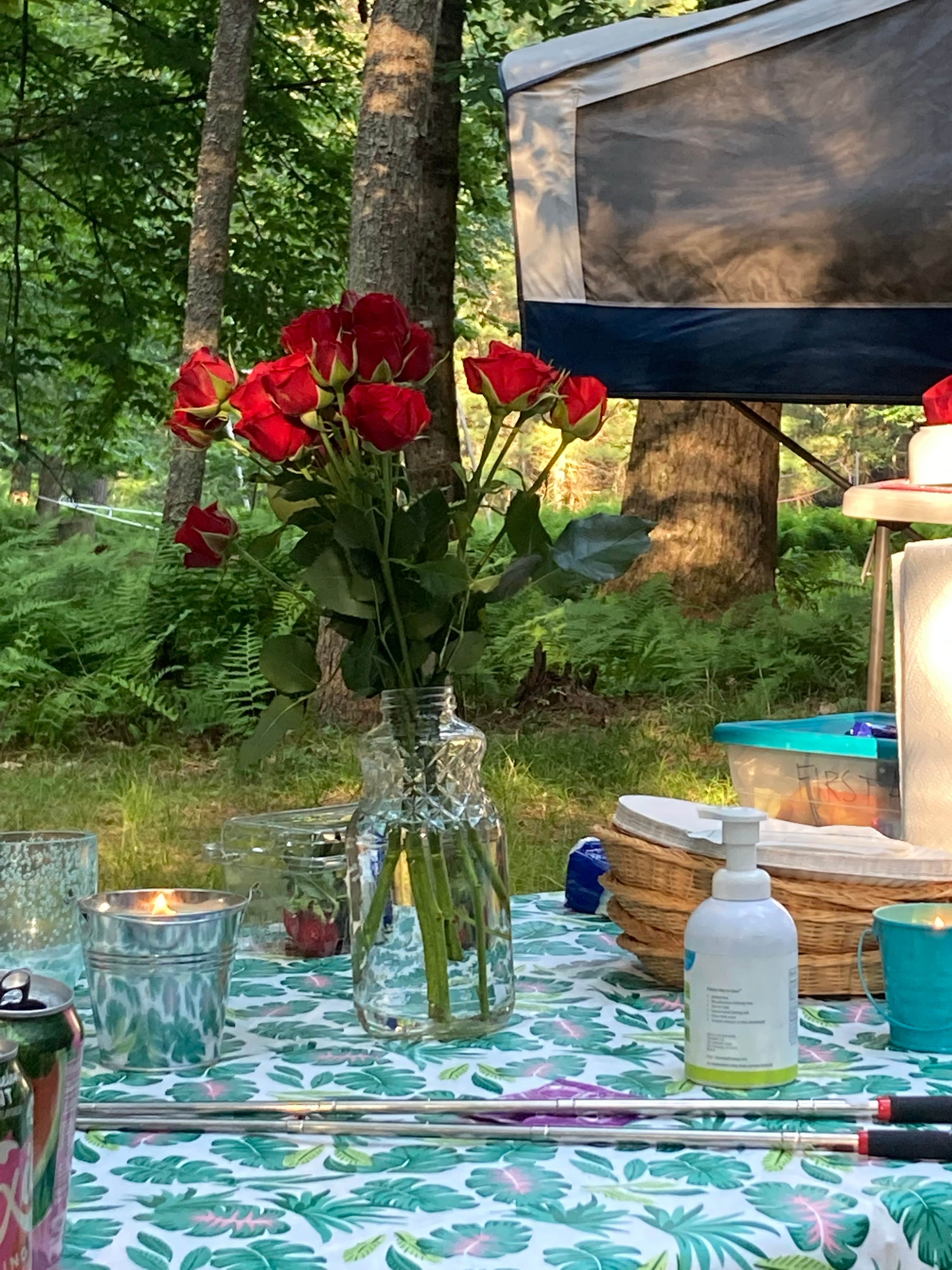 Camper-submitted photo at Happy Days Campground near Upper Delaware National Scenic and Recreation River