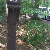 Review photo of Musky Lake Campground — Northern Highland State Forest by Jay W., July 20, 2018