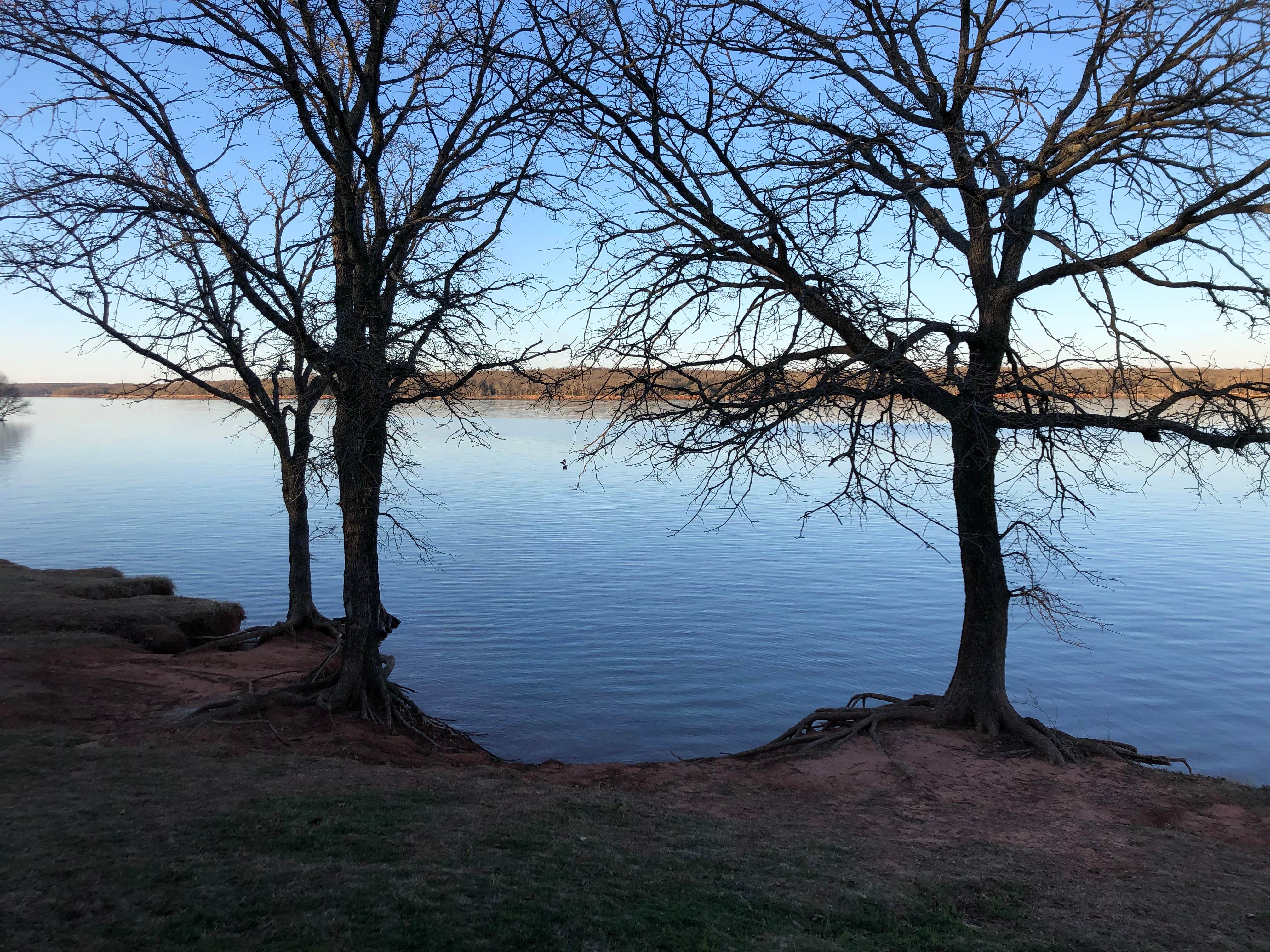 Camper submitted image from Hickory Hill — Lake Thunderbird State Park - 3