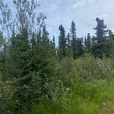 Review photo of Ski Loop Trail by Riley N., July 25, 2022