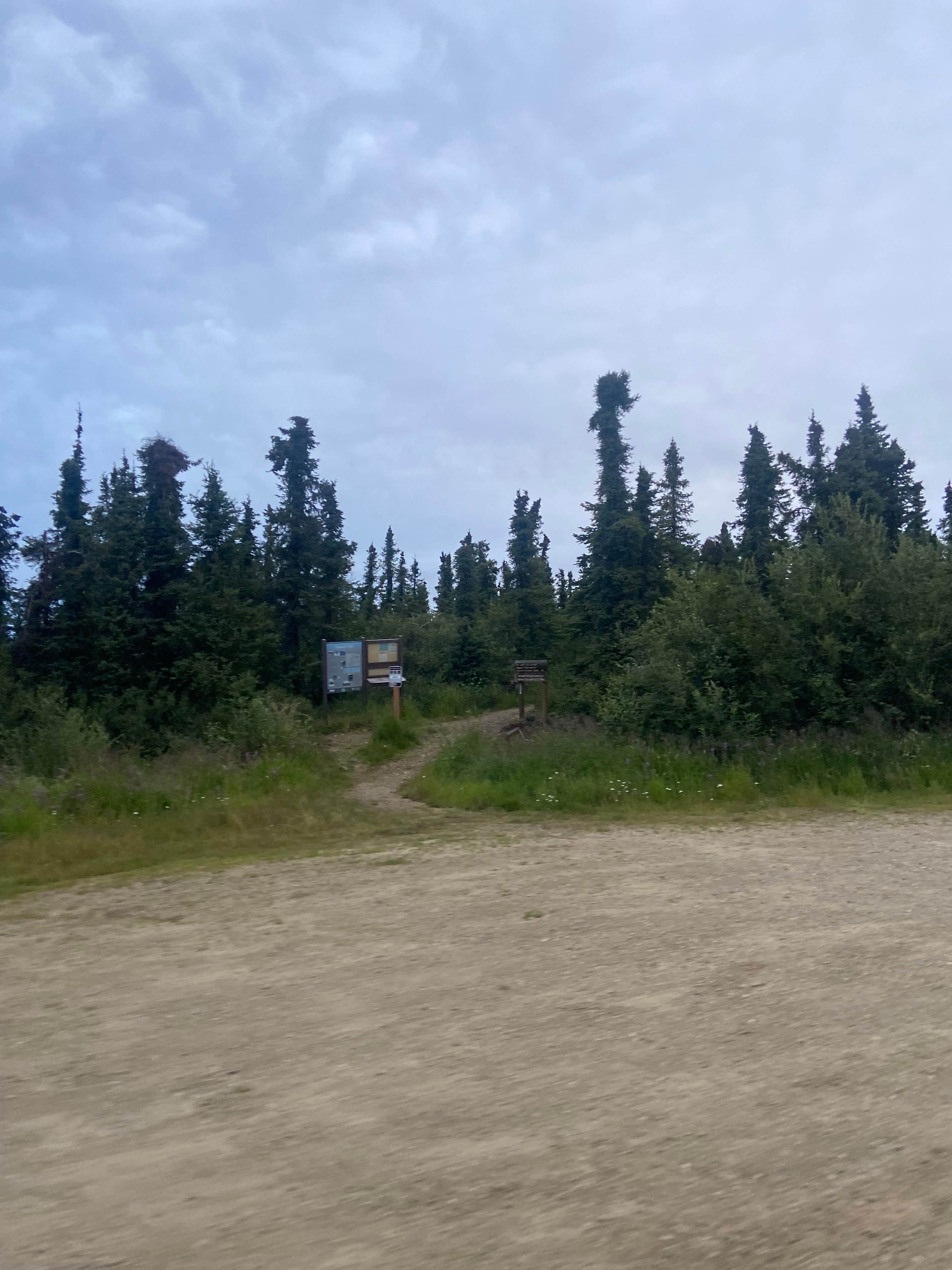 Camper-submitted photo at Ski Loop Trail near Ester, AK