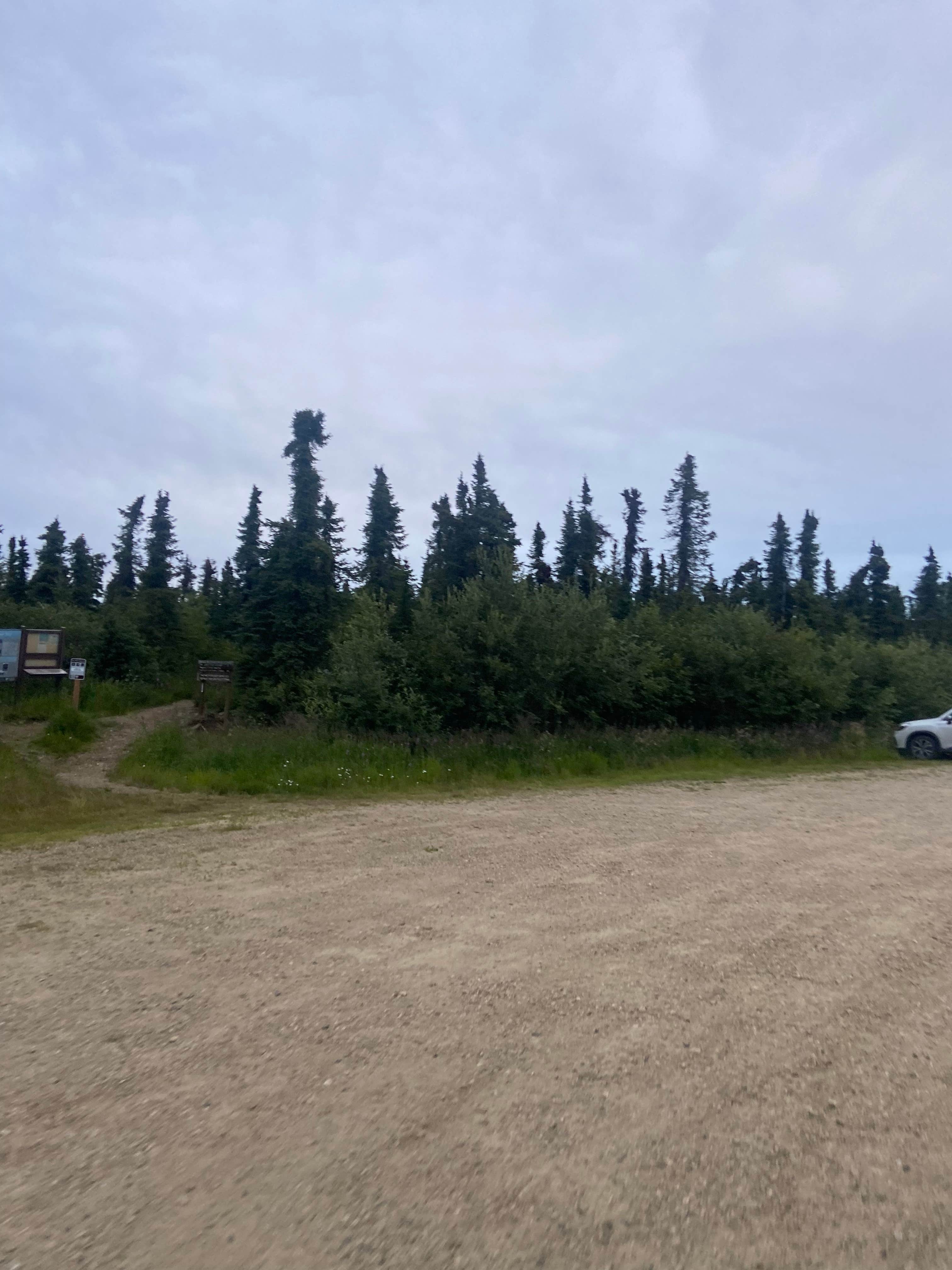 Camper-submitted photo at Ski Loop Trail near Ester, AK