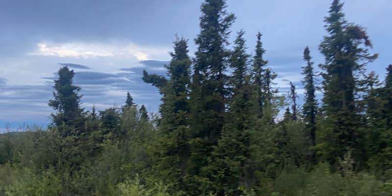 Camper submitted image from Ski Loop Trail