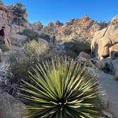 Review photo of Jumbo Rocks Campground — Joshua Tree National Park by Graham , July 25, 2022