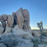 Review photo of Jumbo Rocks Campground — Joshua Tree National Park by Graham , July 25, 2022