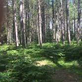 Review photo of Musky Lake Campground — Northern Highland State Forest by Jay W., July 20, 2018