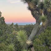 Review photo of Jumbo Rocks Campground — Joshua Tree National Park by Graham , July 25, 2022