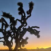 Review photo of Jumbo Rocks Campground — Joshua Tree National Park by Graham , July 25, 2022