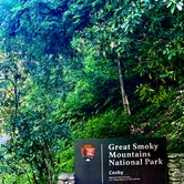 Review photo of Cosby Campground — Great Smoky Mountains National Park by Graham , July 25, 2022