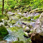 Review photo of Cosby Campground — Great Smoky Mountains National Park by Graham , July 25, 2022