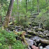 Review photo of Cosby Campground — Great Smoky Mountains National Park by Graham , July 25, 2022