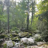 Review photo of Cosby Campground — Great Smoky Mountains National Park by Graham , July 25, 2022