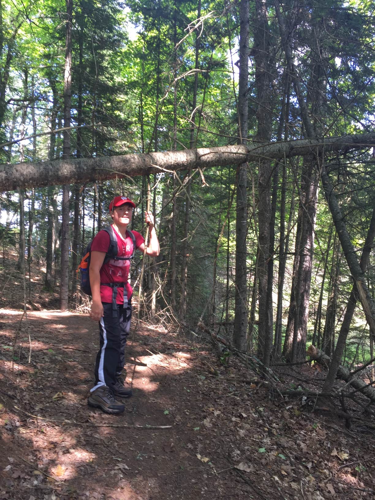 Camper submitted image from Musky Lake Campground — Northern Highland State Forest - 4