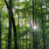 Review photo of Cosby Campground — Great Smoky Mountains National Park by Graham , July 25, 2022