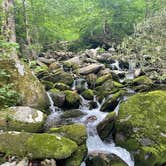 Review photo of Cosby Campground — Great Smoky Mountains National Park by Graham , July 25, 2022