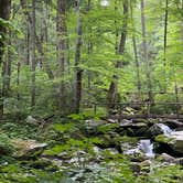 Review photo of Cosby Campground — Great Smoky Mountains National Park by Graham , July 25, 2022