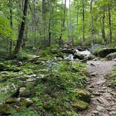 Review photo of Cosby Campground — Great Smoky Mountains National Park by Graham , July 25, 2022