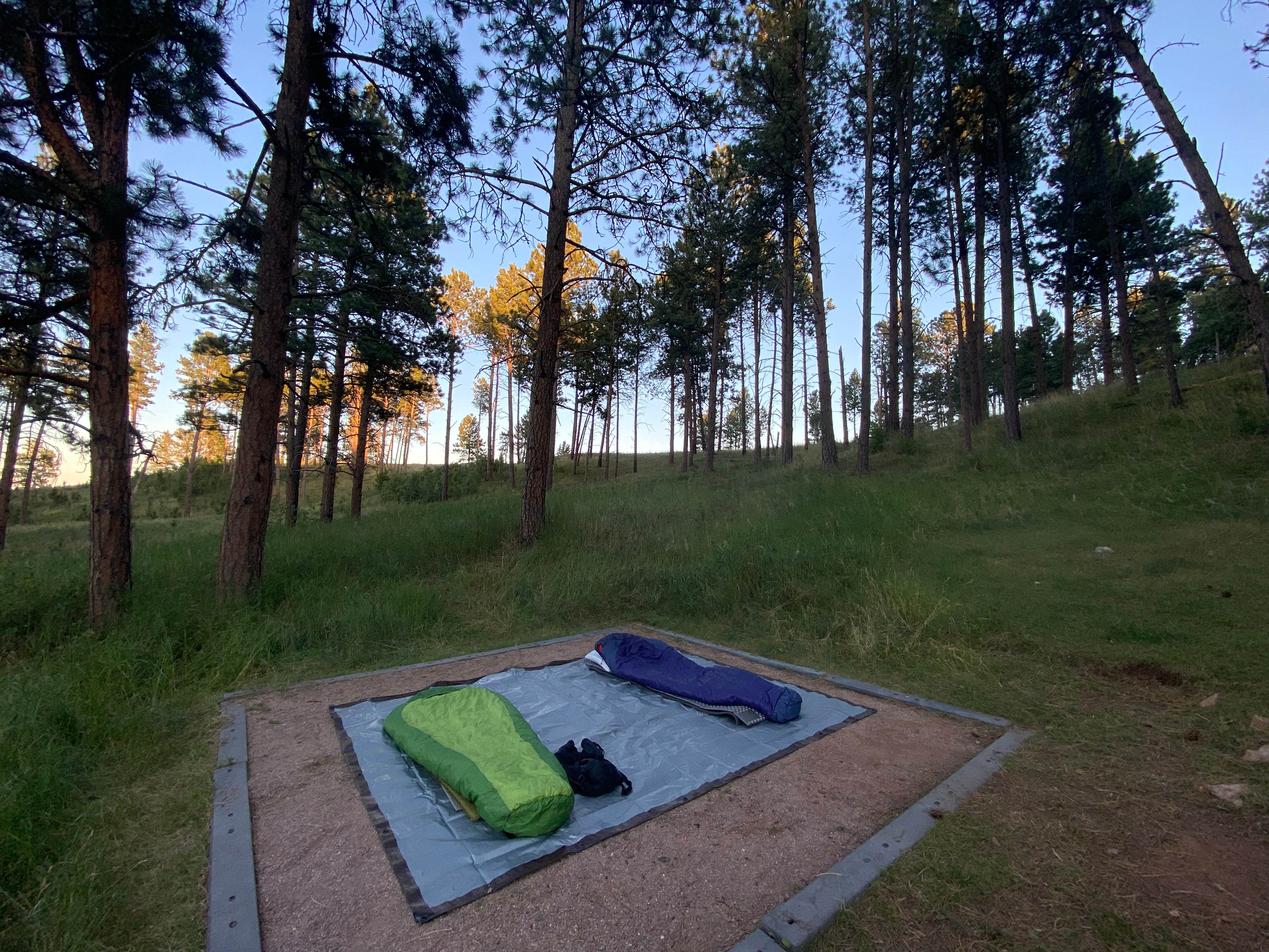 Katie O.'s photo at Elk Mountain Campground — Wind Cave National Park near Hot Springs, SD
