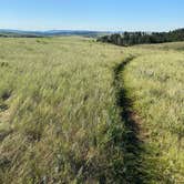 Review photo of Elk Mountain Campground — Wind Cave National Park by Katie O., July 25, 2022