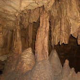 Review photo of Mammoth Cave Campground — Mammoth Cave National Park by Mallory D., July 20, 2018