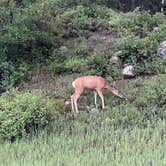 Review photo of Bruce Spruce Ranch by Jacob K., July 8, 2022