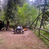 Review photo of Black Canyon Campground - Willamette NF by Sarah S., July 25, 2022
