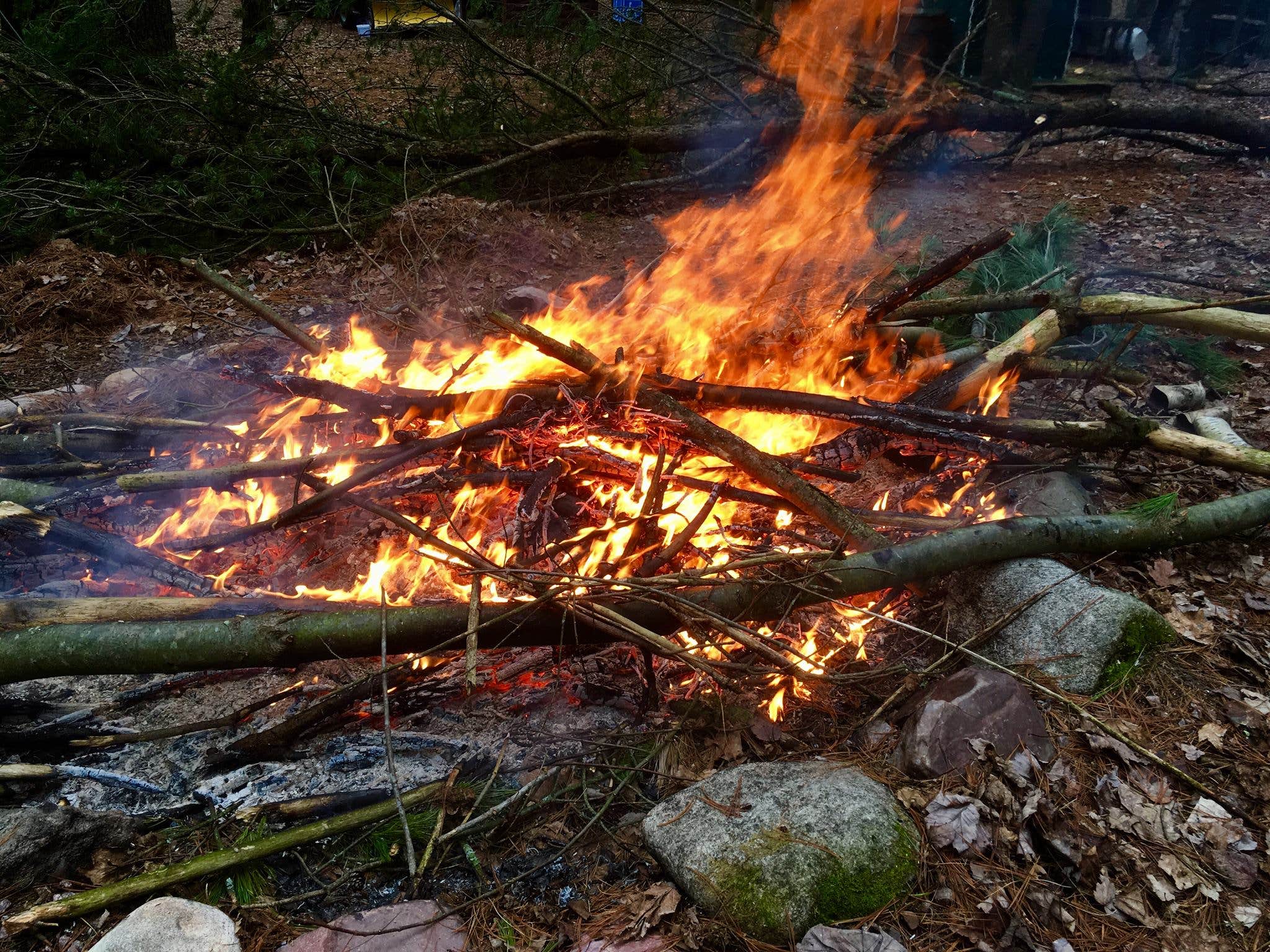 Camper-submitted photo at Stargazen Retreat Center near Humbird, WI
