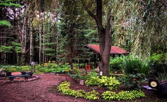 Dianne B.'s photo of tent camping at Stargazen Retreat Center near Lublin, WI