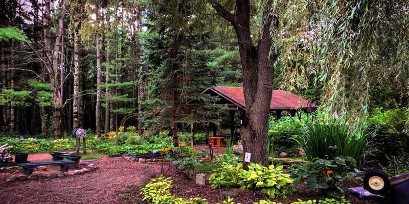 Camper submitted image from Stargazen Retreat Center