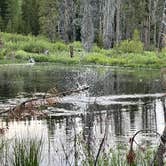 Review photo of Beaver View Campground — Uinta Wasatch Cache National Forest by Shon H., July 25, 2022