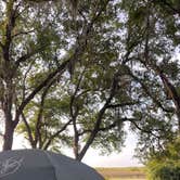 Review photo of Kissimmee Prairie Preserve State Park Campground by Ioana Z., June 19, 2022
