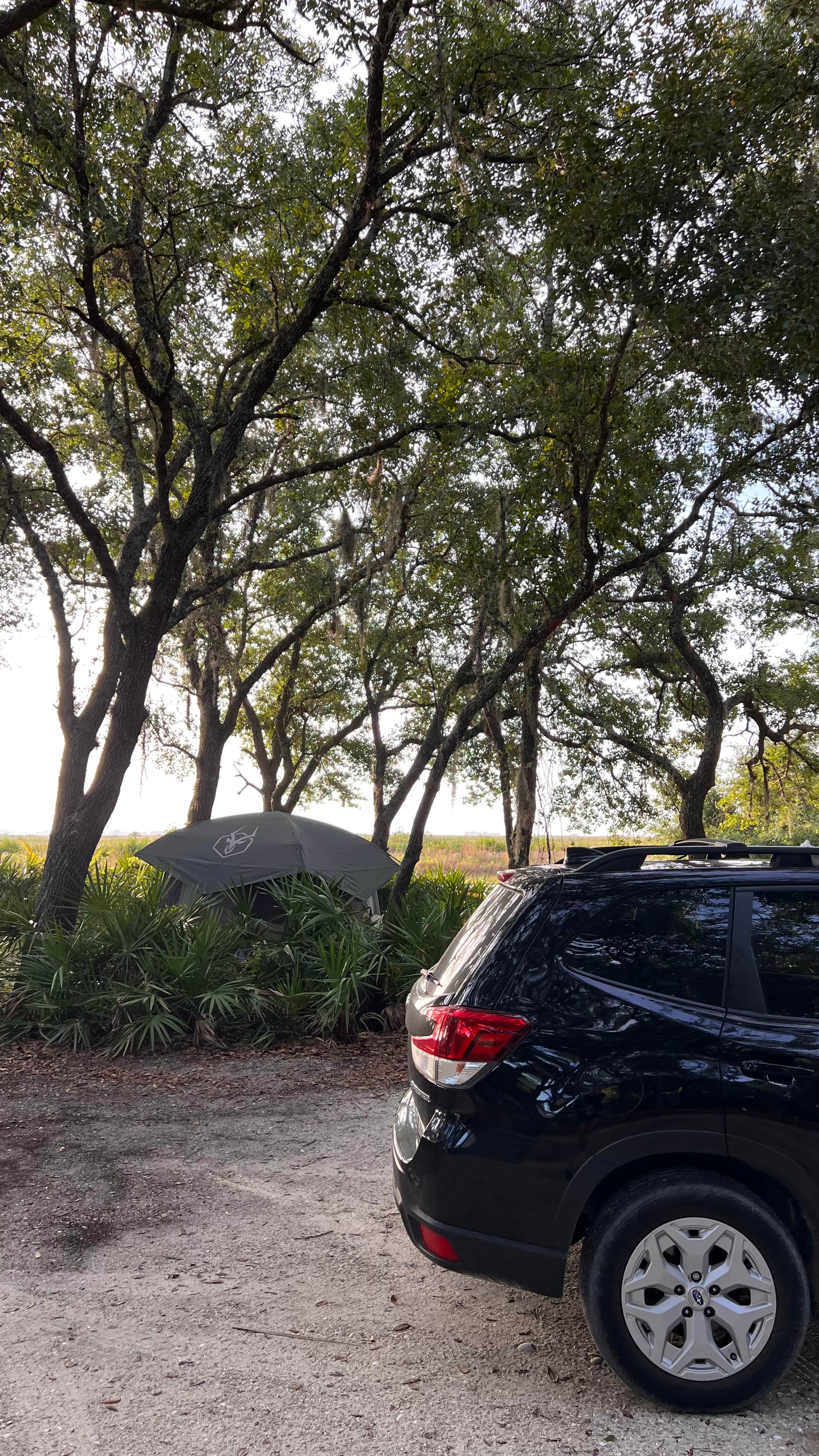 Ioana Z.'s photo at Kilpatrick Hammock Campground — Kissimmee Prairie Preserve State Park near Fellsmere, FL