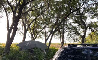 Ioana Z.'s photo at Kilpatrick Hammock Campground — Kissimmee Prairie Preserve State Park near Malabar, FL