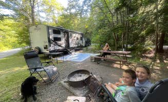 Scott B.'s photo of camping with pets at Blackwoods Campground — Acadia National Park near Acadia National Park