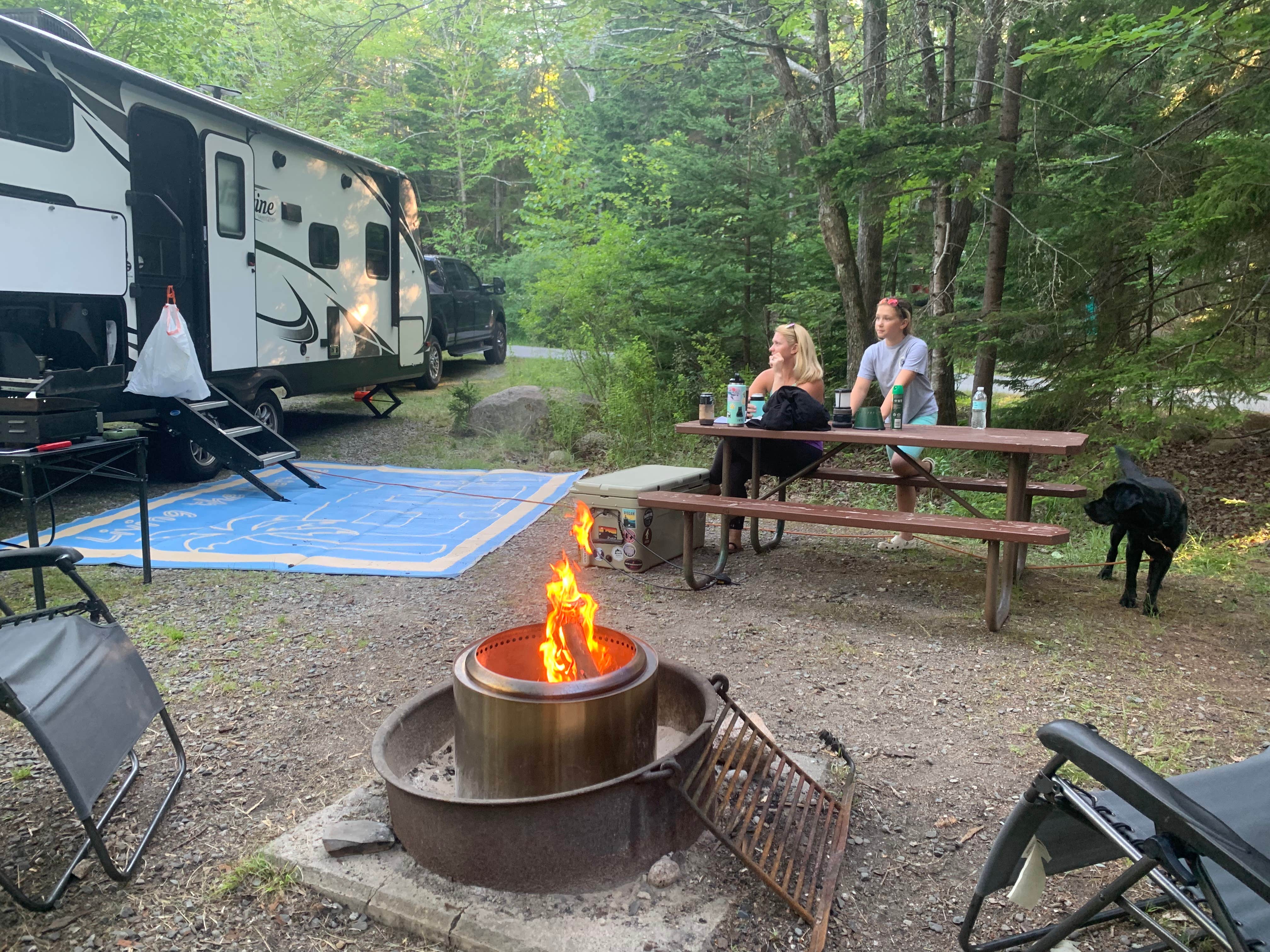 Scott B.'s photo of camping with pets at Blackwoods Campground — Acadia National Park near Bass Harbor, ME