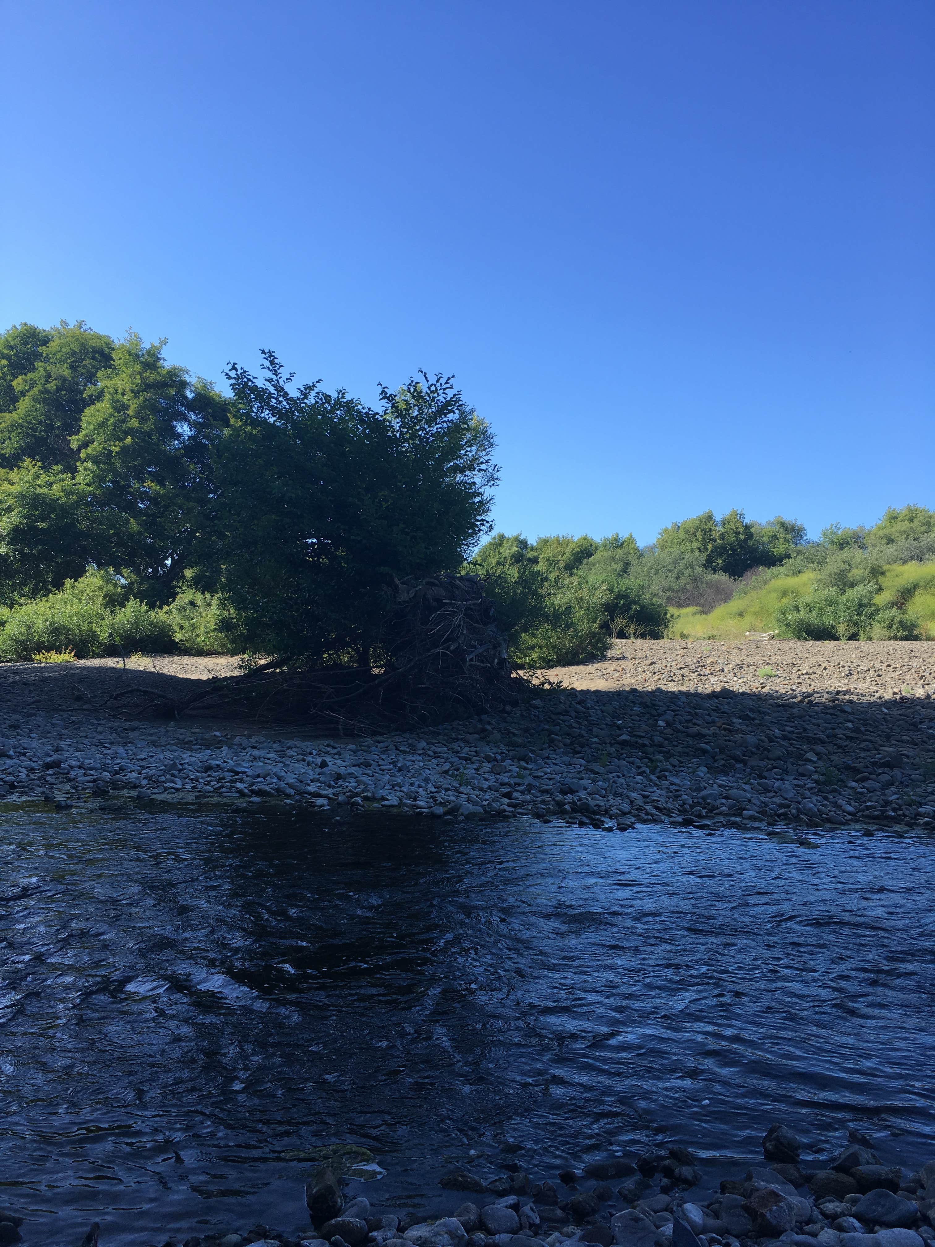 Camper-submitted photo at Hendy Woods State Park Campground near Gualala, CA